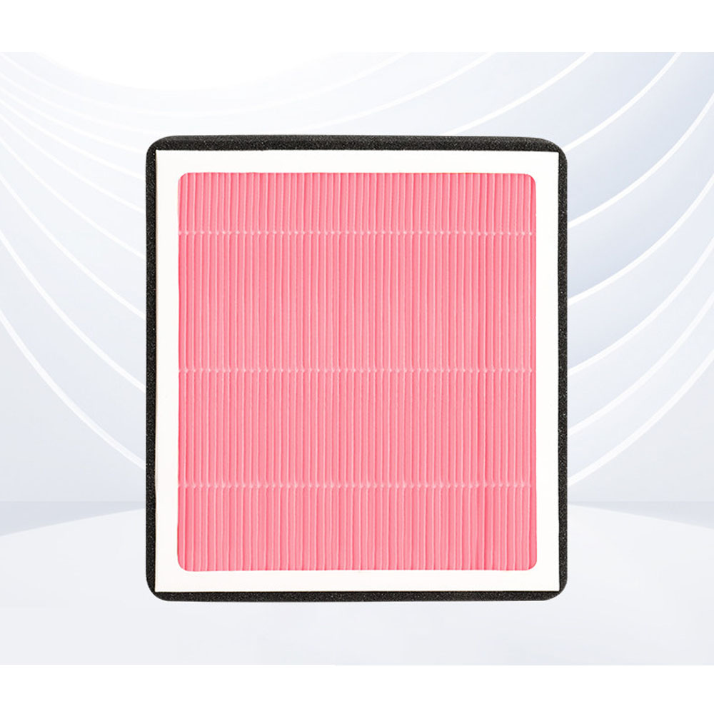For BAIC JISHI ROX 01 2024-202 - Filter Replacement N95 recension och pris